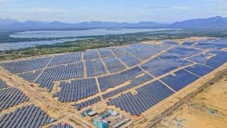 Bình Phước: Công ty CP Năng lượng Lộc Ninh 3 xây dựng Nhà máy điện mặt trời trên đất rừng sản xuất