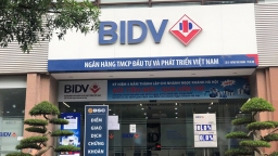 Cổ phiếu BID lên đỉnh, vốn hóa BIDV vượt xa Vinhomes