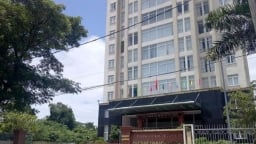 Quảng Nam: Công ty CP Prime Nam Giang bị phong tỏa tài khoản