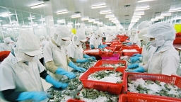 Long An: Công ty Hải sản An Lạc bị cưỡng chế thuế hơn 900 triệu đồng