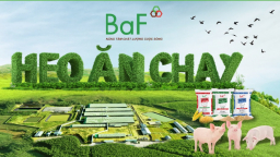 BAF ghi nhận nợ thuế, lợi nhuận tăng trưởng âm