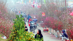 Miền Bắc trời hửng nắng trong ngày mùng 4 Tết