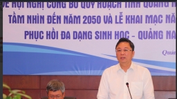 Chủ tịch Quảng Nam nêu quan điểm về Tập đoàn Trường Hải
