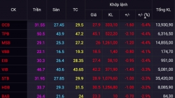Nhiều cổ phiếu bán tháo chốt lời, VN-Index giảm hơn 6 điểm
