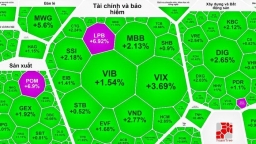 Sắc xanh bao phủ, VN-Index tăng hơn 12 điểm