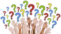 Có sự khác nhau giữa quyết toán thuế giữa Giám đốc với Chuyên gia?