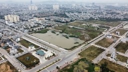 Duyệt giá khởi điểm đấu giá 213 lô đất ở trung tâm TP Thanh Hóa