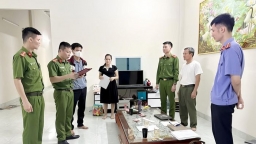 Trốn thuế, Giám đốc và cựu Giám đốc Công ty VLXD Phú Xuyên bị bắt