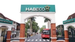Lỗ gần 21 tỷ trong quý 1/2024, Habeco lại bị phạt và truy thu thêm gần 20 tỷ đồng tiền thuế