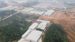 Yên Bái: Công ty TNHH sản xuất gỗ Mộc Việt hoạt động không có giấy phép môi trường