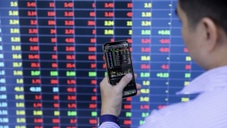 Thị trường bùng nổ, VN-Index tăng hơn 20 điểm