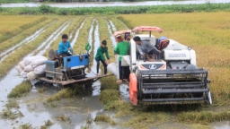 Lộc Trời tăng cường tài chính để phát triển bền vững