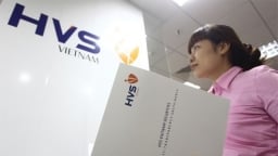 Chứng khoán HVS Việt Nam bị phạt hơn 200 triệu đồng