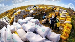 Bộ Công Thương yêu cầu báo cáo việc doanh nghiệp xuất khẩu gạo 'bỏ thầu giá thấp'