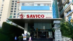 Savico bị xử phạt và truy thu thuế gần 1,5 tỷ đồng