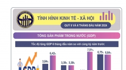 Tình hình kinh tế - xã hội 6 tháng đầu năm