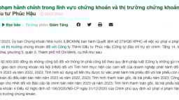 Không công bố thông tin, Công ty Đầu tư Phúc Hậu bị phạt