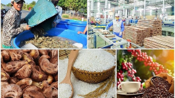Nigeria giảm thuế nhập khẩu xuống 0% đối với một số mặt hàng lương thực