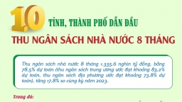 10 tỉnh, thành phố dẫn đầu thu ngân sách nhà nước 8 tháng