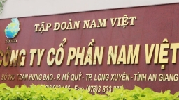 Thuỷ sản Nam Việt phát hành hơn 133,1 triệu cổ phiếu thưởng