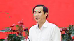 Lâm Đồng bổ nhiệm, điều động nhiều lãnh đạo chủ chốt