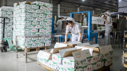 Lợi nhuận quý 3/2024 của Mộc Châu Milk lao dốc không phanh
