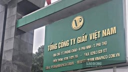 Tổng công ty Giấy Việt Nam bị xử phạt gần 1,9 tỷ đồng