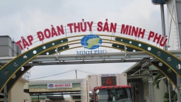 Thủy sản Minh Phú đảo chiều thoát lỗ