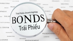 Không công bố thông tin trái phiếu, Công ty Phú Son và Công ty nhà Phúc Đồng bị phạt