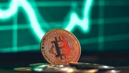 Giá bitcoin tăng kỷ lục, áp sát mốc 75.000 USD