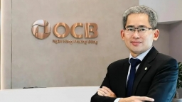 CEO Phạm Hồng Hải mua 300.000 cổ phiếu OCB