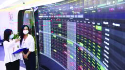 Những cơ hội nào cho nhà đầu tu trong 2025?