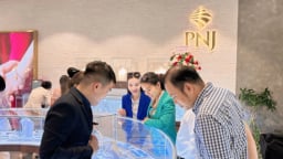 PNJ chi hơn 200 tỷ đồng tạm ứng cổ tức