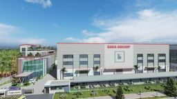Lãnh đạo Siba Group đăng ký thoái toàn bộ cổ phiếu SBG