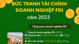 Bức tranh tài chính doanh nghiệp FDI năm 2023