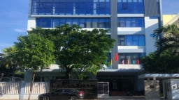 UBND TP. Đà Nẵng cử người nắm 8,7 triệu cổ phiếu tại Công ty Cấp nước
