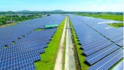 Thuỷ điện miền Trung chi 146 tỷ đồng để tạm ứng cổ tức