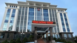 Nhiều doanh nghiệp Đồng Tháp nợ thuế xuất nhập khẩu