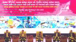 Hội thảo Kinh tế Việt Nam năm 2024 và triển vọng năm 2025
