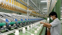Công ty CP Sợi Thế Kỷ bị phạt 77,5 triệu đồng