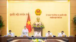 Bổ sung quy định về kiểm toán vốn nhà nước tại doanh nghiệp