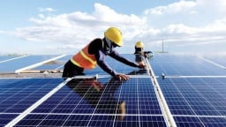 Tuyển chuyên gia xây dựng báo cáo dự án đầu tư hệ thống điện mặt trời mái nhà cho doanh nghiệp ngành CBTP