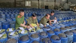Nghệ An: Triệt phá đường dây sản xuất hàng nghìn tấn giá đỗ ngâm hóa chất