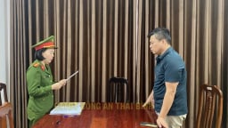 Trốn thuế, Giám đốc Công ty bê tông Đạt Vinh bị khởi tố