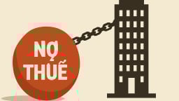 Thanh Hóa: Nợ thuế, Xi măng Công Thanh và nhiều doanh nghiệp bị ngừng sử dụng hóa đơn