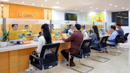 LPBank chia cổ tức năm 2024 với tỷ lệ 25%