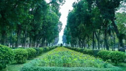 Bộ Công an yêu cầu Long An cung cấp hồ sơ 36 dự án cây xanh ở địa phương