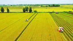 Kéo dài thực hiện miễn thuế sử dụng đất nông nghiệp đến hết năm 2030