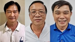 Chủ tịch Tập đoàn Tuấn Ân chi hối lộ 'đậm' để thao túng 26 gói thầu thiết bị điện tại Bình Thuận