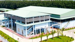 Biwase đăng ký mua 7,1 triệu cổ phiếu VLW